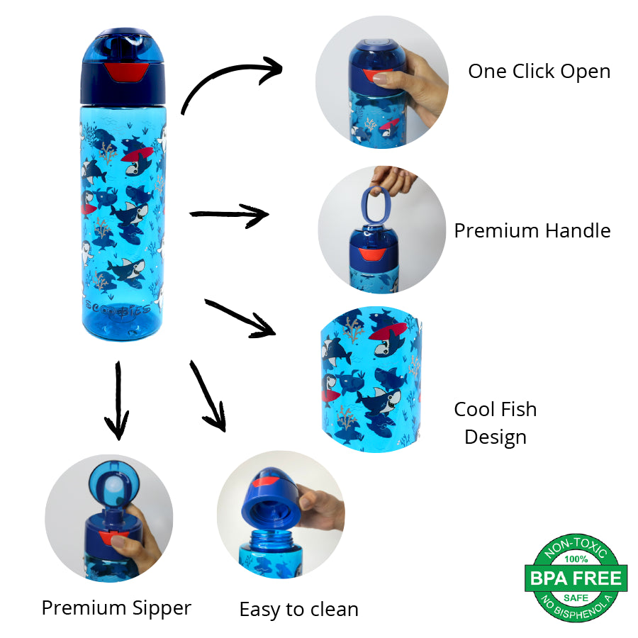 Tritan Bottle - Meet Acqua Baby Shark