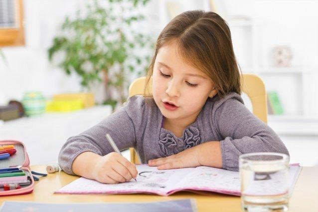 Five Essentials To Help Your Child With Their School Homework - Scoobies
