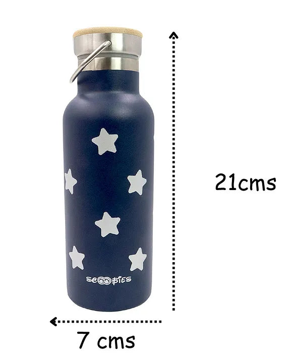 Stainless Steel Bottle - Planet Dream