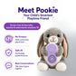 Scoobies Pookie AI Learning Companion, Screen-Free Smart Toy with Interactive Stories|Conversations & Fun Facts, Emotion-Aware AI with Parental Controls, Safe & Portable for Kids