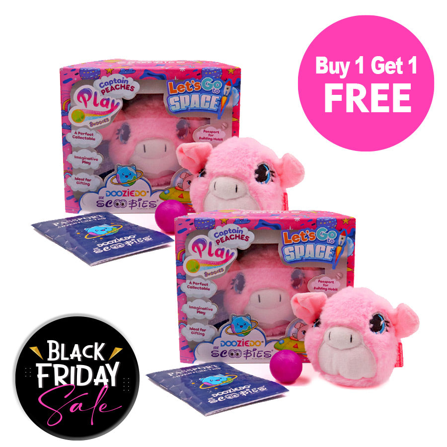 BUY 1 GET 1 FREE,  Captain Peaches Study Buddies