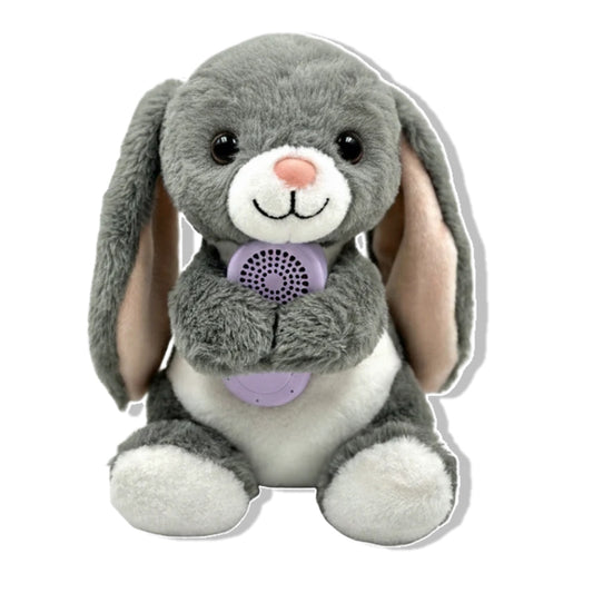 Scoobies Pookie AI Learning Companion, Screen-Free Smart Toy with Interactive Stories|Conversations & Fun Facts, Emotion-Aware AI with Parental Controls, Safe & Portable for Kids